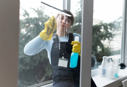 Nettoyage de vitres intérieures et extérieures à Chastel-Nouvel